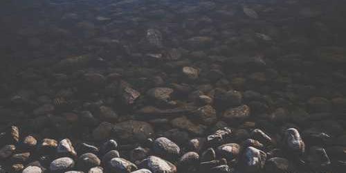Dar heyecanlı kilim zıplayarak istemiş.