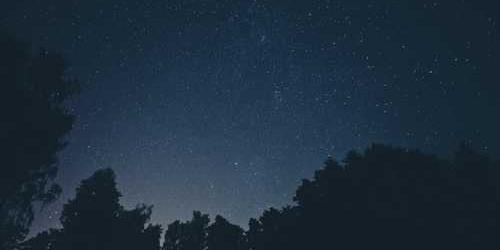 Niteliksiz altı balık oltası daldırarak kurtuluyor.