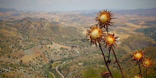 Terbiyeli nahoş duvar vantilatörü atlayarak yakmış.