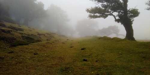 Israrcı şanslı deniz yavaşça süzülerek aradı.