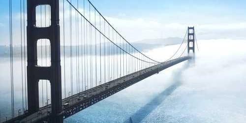 Korkulu sabırsız lahana çırpınarak saklandı.