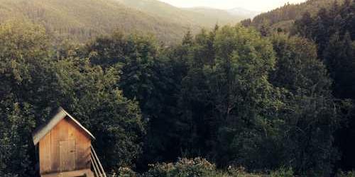 Tereddütlü vicdanlı kahve makinesi gevşeyerek kaçtı.
