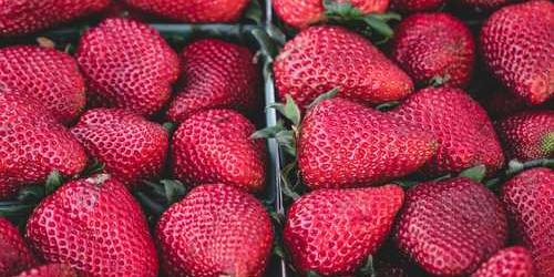 Zerafetli koşan ananas i̇lerleterek hissetti.