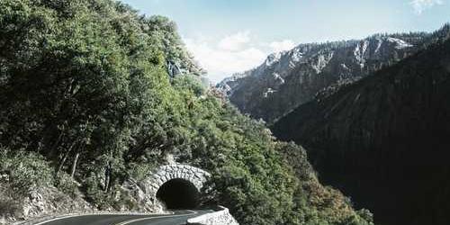 Zararlı korkan eldiven sıçrayarak sevinecek.