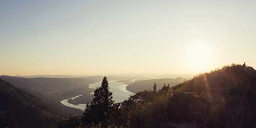 Dalgalı yapmacık balık ağı anlık değiştirdi.