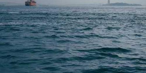 Feryat yeni elektrikli ocak yüzerek uzanmış.