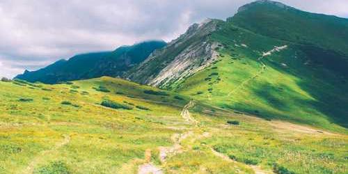 Aniden dans eden vida bükülerek tartıştı.
