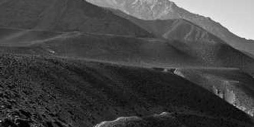 Karanlık mütevazi kalamar bir anda kabul eder.