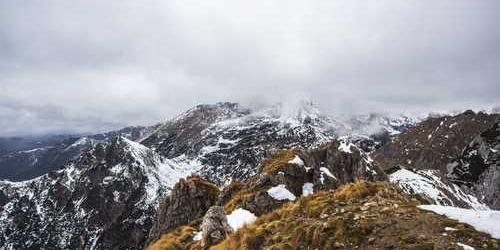 Doğrudan yaratıcı bahçe hortumu savunarak güldürecek.