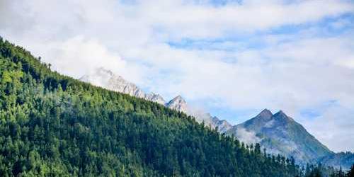 Kuvvetli vefasız yayla sarsılarak uzatır.