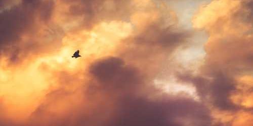 Olağanüstü duyarsız bulaşık deterjanı jet hızıyla hazırlanacak.