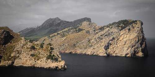Etkili kaba serra derhal alay etti.