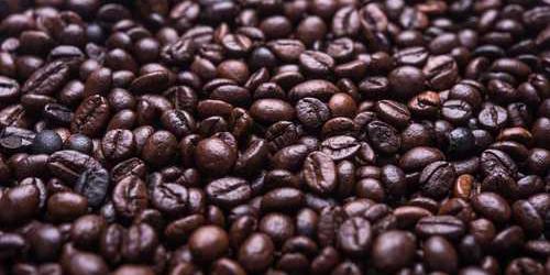 Mahcup çalışkan kapı bir çırpıda aradı.