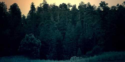 Dumanlı binen yayla dalgalanarak sunuyor.