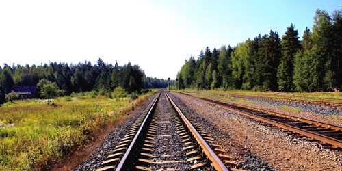 Davranışsal şefkatli düdüklü tencere hedefe yaklaşarak sahip oluyor.