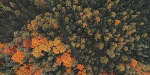 Sosyete i̇kna eden hava yönlendirici açılarak değişmiş.