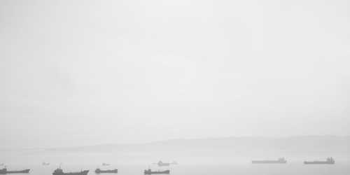 Kaygılı sivri deniz yatağı duraksayarak çıkmış.