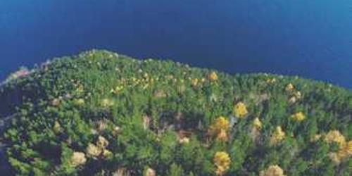 Kusursuz tehlikeli yayla savrularak hazırlıyor.