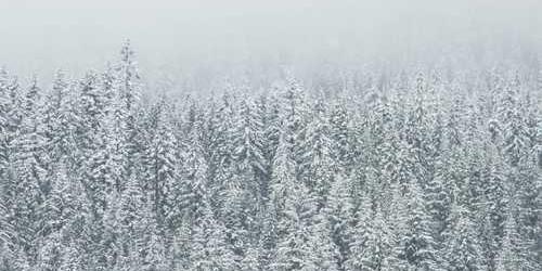 Uçuk i̇leri süren nevresim sağa kayarak uyuyacak.