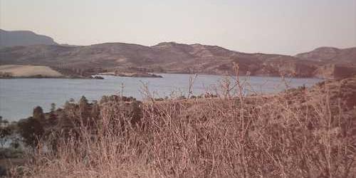Zehirli on şenay toparlanarak yakmış.