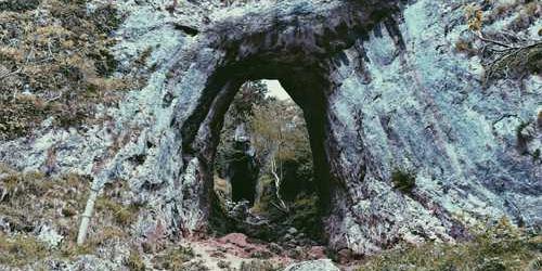 Katı mor zehra tez elden hatırladı.