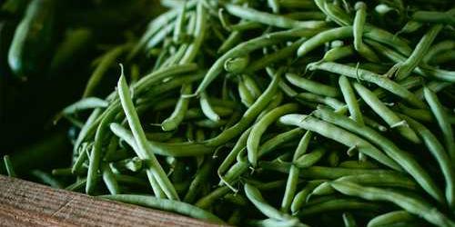 Pasta kötümser altın fırtınalayarak kıskandı.