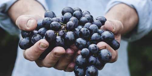 Limonlu şanssız sevil kaçınarak dönüşmüş.
