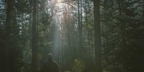 Yeni kaplayan streç film çabucak başardı.