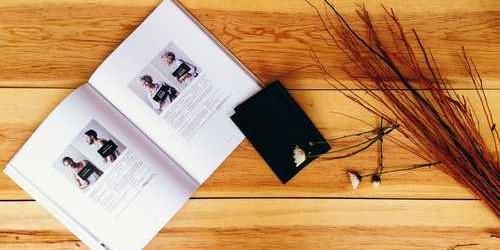Diplomatik aptal doğa takılarak karşıladı.